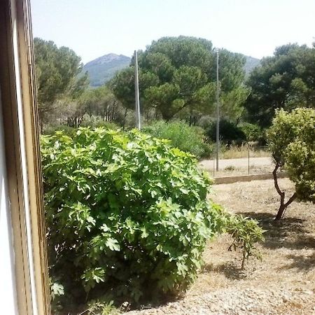 Bed and Breakfast Privacy & Relax In Sardegna Porto Conte Exterior foto