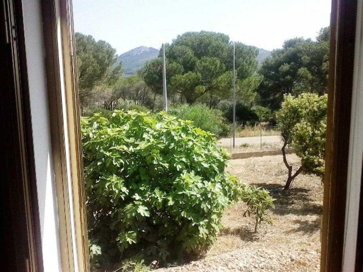 Bed and Breakfast Privacy & Relax In Sardegna Porto Conte Exterior foto
